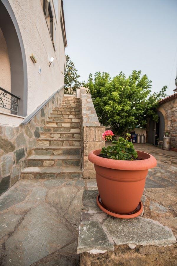 Potamaki Studios & Apartments Stoúpa Zewnętrze zdjęcie